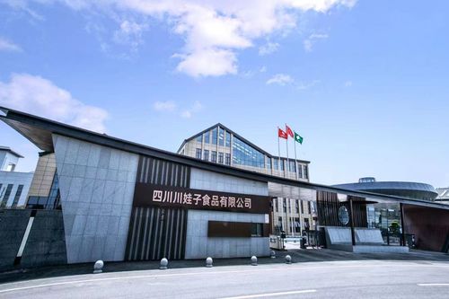 百位行業(yè)代表齊聚川娃子 共話食品智造新味來，明星工廠引領(lǐng)行業(yè)升級